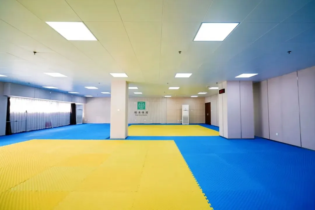 篮球运球训练心得体会范文怎么写_0